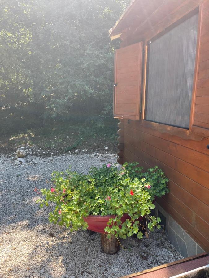 Carpe Diem Retafani Roger'S House Альтипьяни-ди-Арчинаццо Экстерьер фото